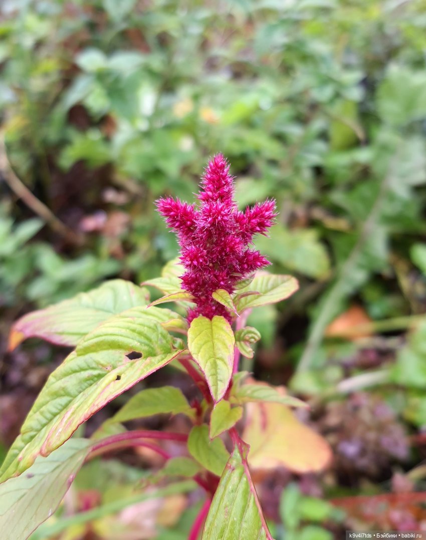 22 сентября. Старицкий Свято-Успенский Монастырь