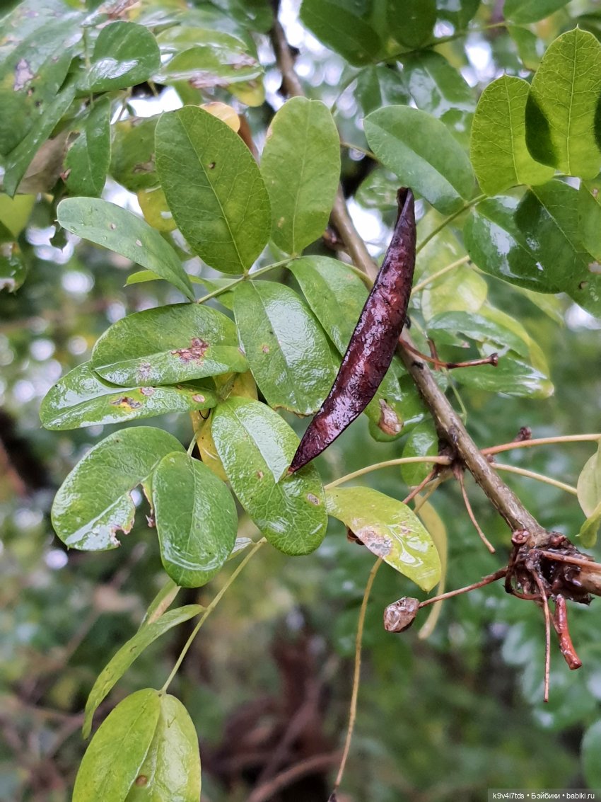 22 сентября. Старицкий Свято-Успенский Монастырь