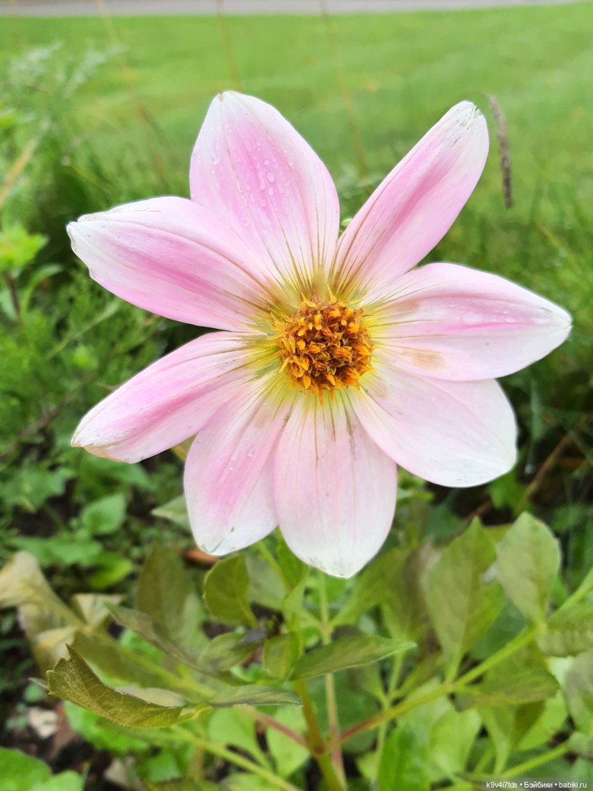 22 сентября. Старицкий Свято-Успенский Монастырь