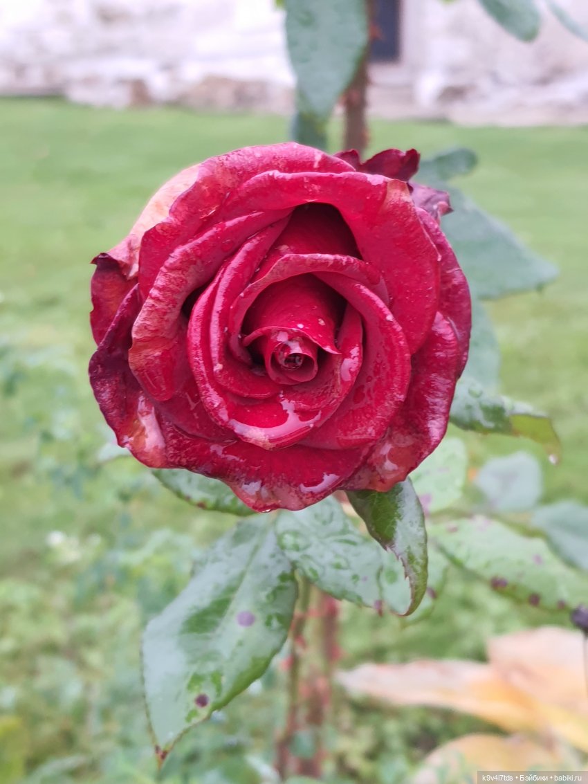 22 сентября. Старицкий Свято-Успенский Монастырь