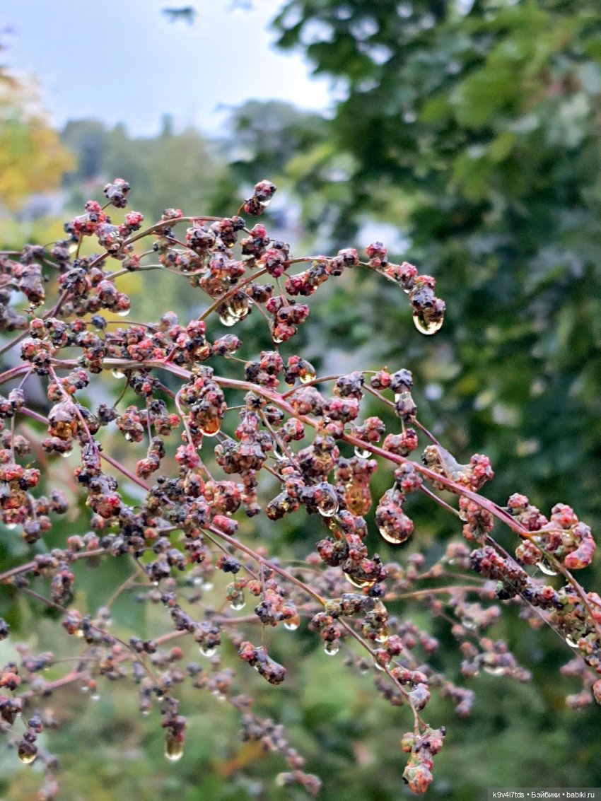 22 сентября. Старицкий Свято-Успенский Монастырь