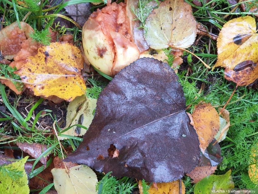 22 сентября. Старицкий Свято-Успенский Монастырь