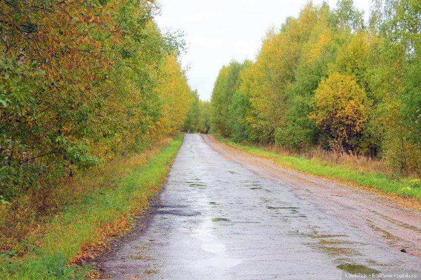 Сентябрьское путешествие Майке