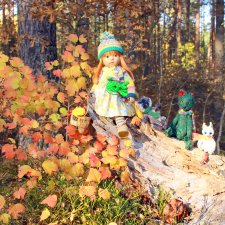 Майке и Волшебный Лес