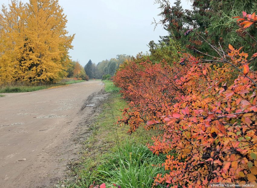 Осеннее путешествие с Колетт