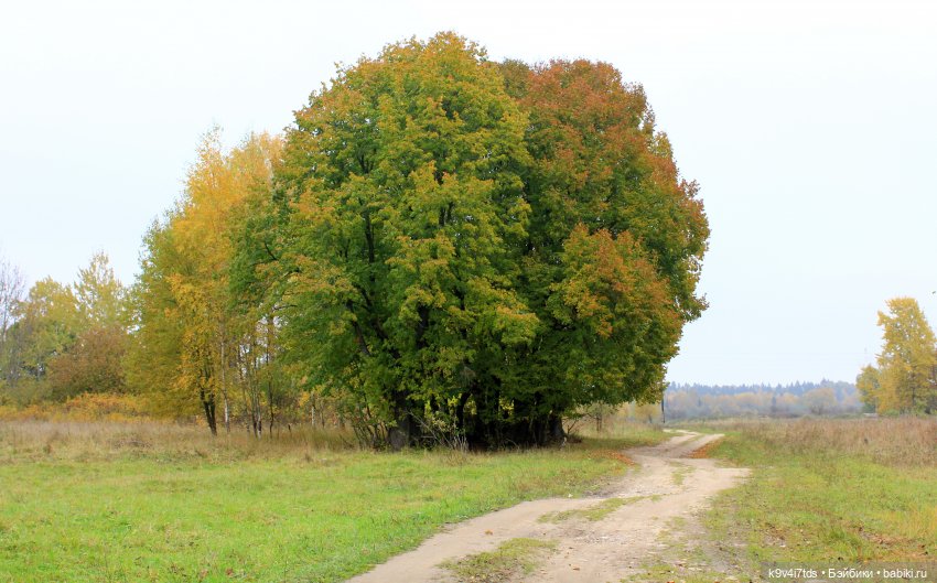 Осеннее путешествие с Колетт