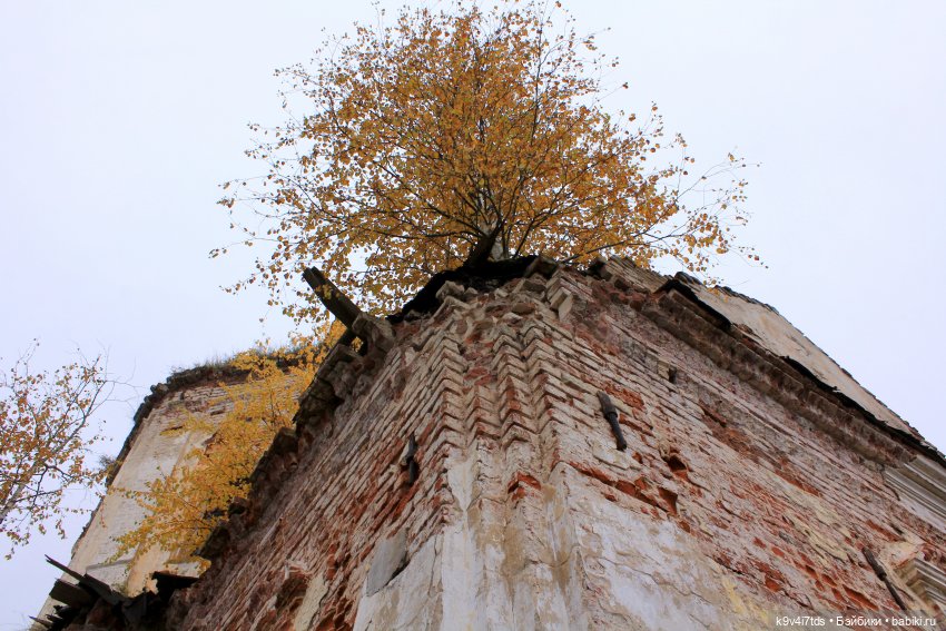 Заброшенный Храм — Культура