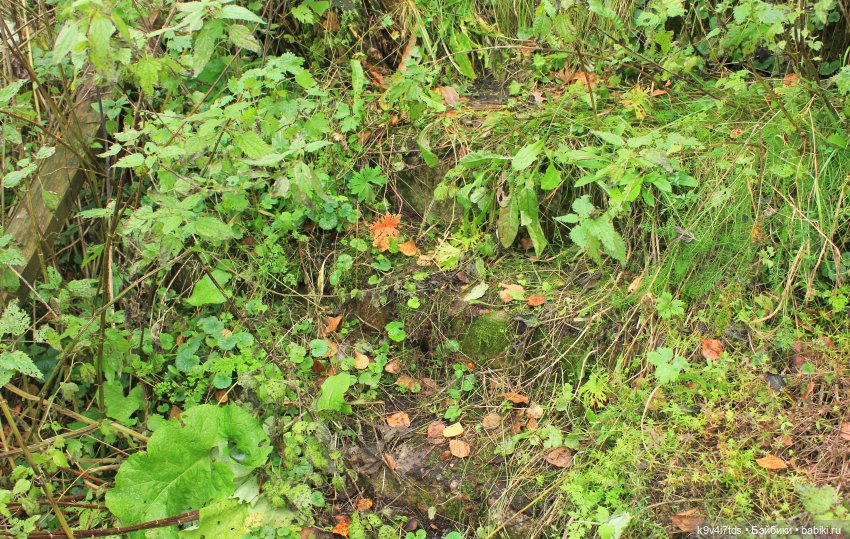 Заброшенный Храм — Культура