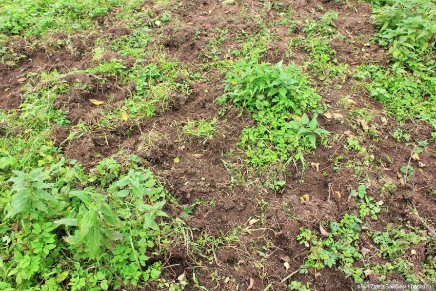 Осеннее путешествие с Колетт, заключительная часть