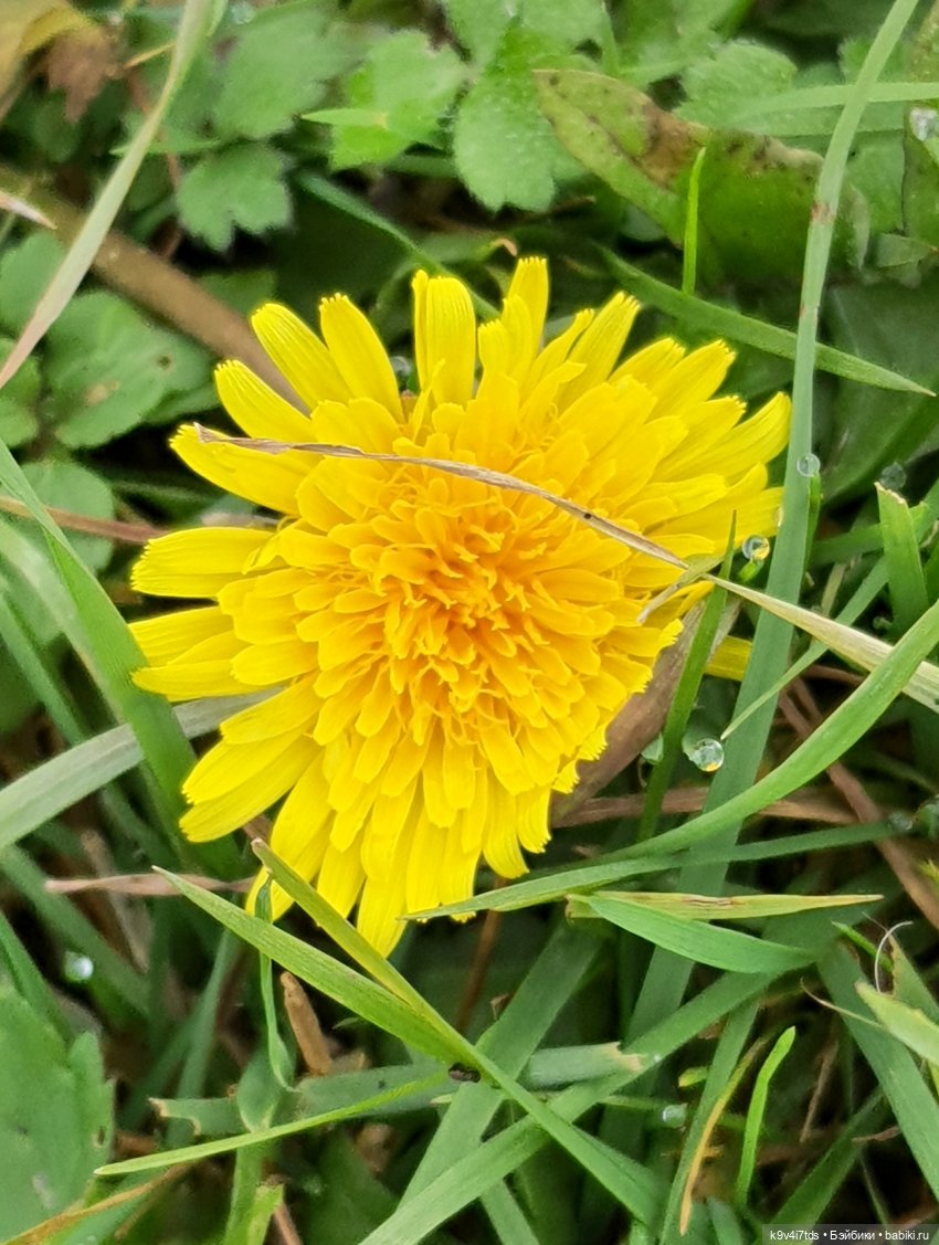 Осеннее путешествие с Колетт, заключительная часть