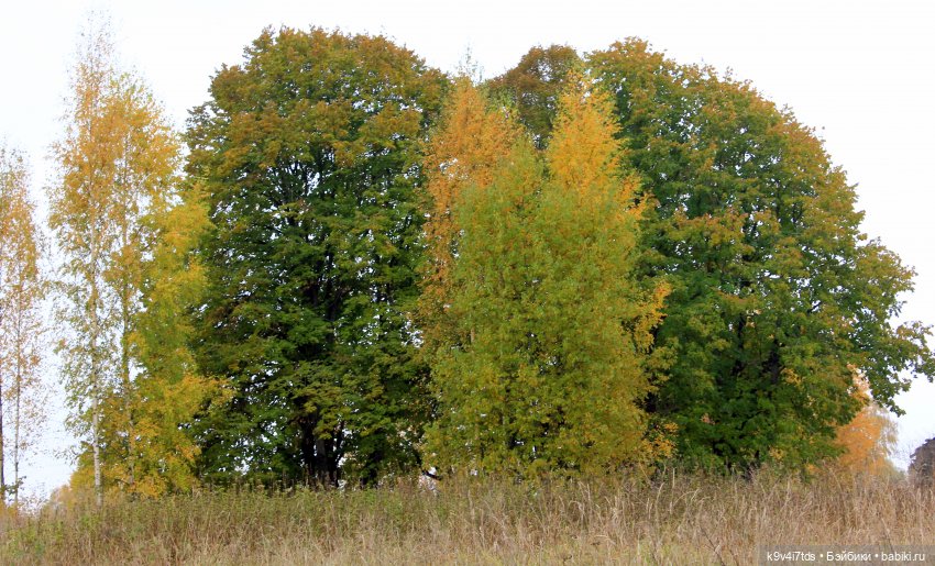 Осеннее путешествие с Колетт, заключительная часть (фото 2)