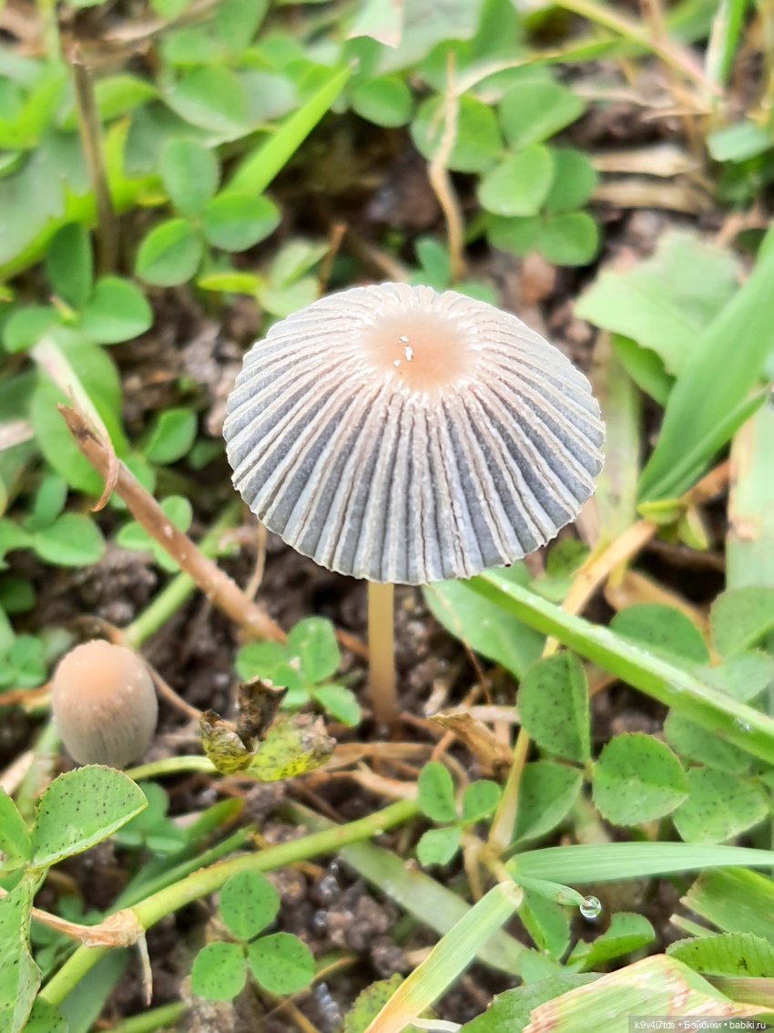 Осеннее путешествие с Колетт, заключительная часть