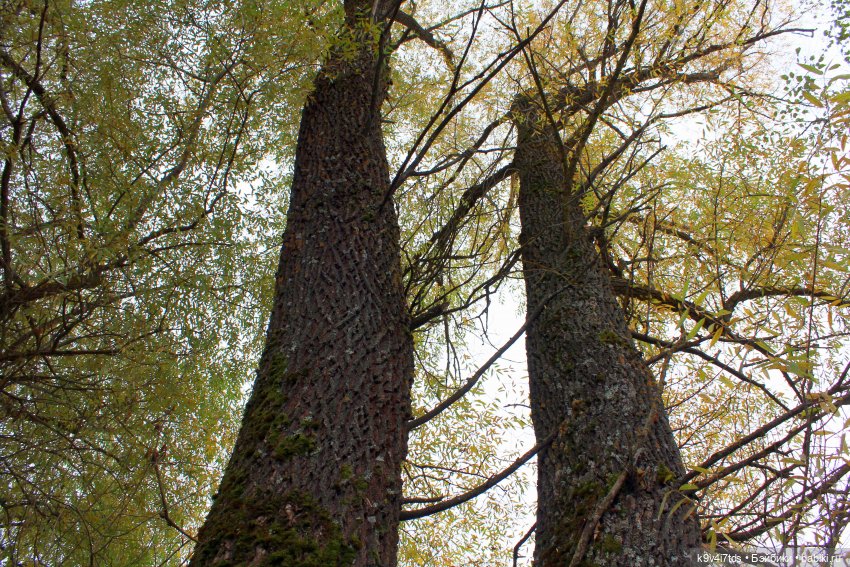 Осеннее путешествие с Колетт, заключительная часть (фото 10)