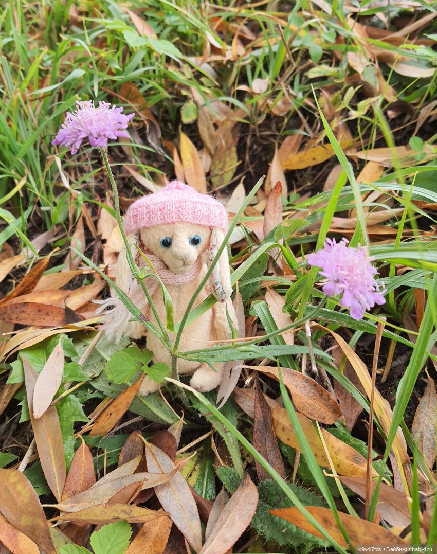 Осеннее путешествие с Колетт, заключительная часть