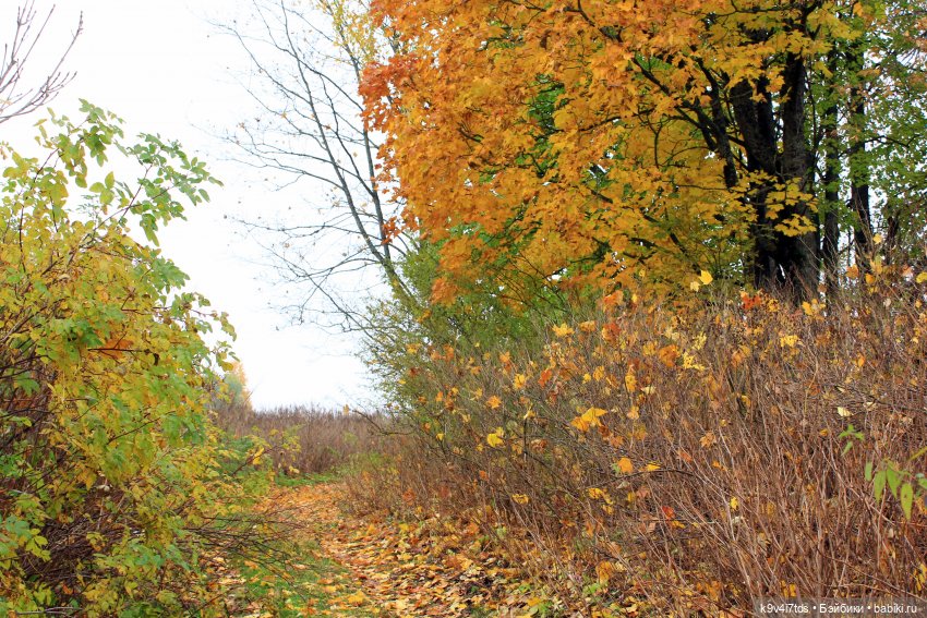 Осеннее путешествие с Колетт, заключительная часть (фото 5)