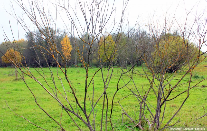 Осеннее путешествие с Колетт, заключительная часть