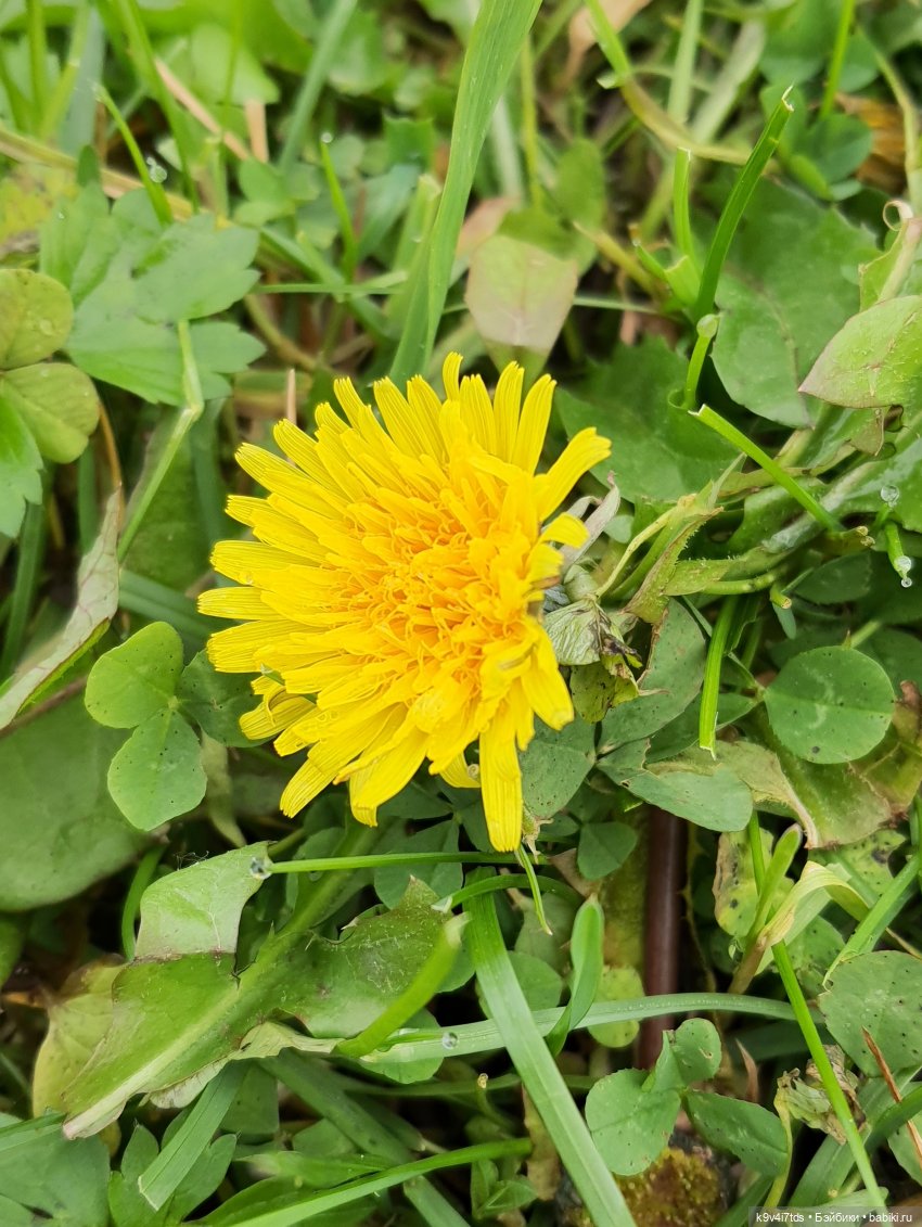 Осеннее путешествие с Колетт, заключительная часть