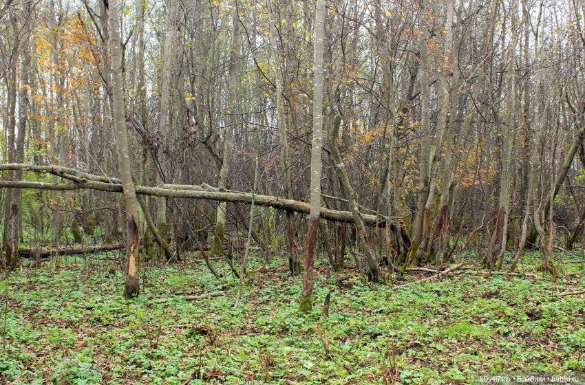 Осеннее путешествие с Колетт, заключительная часть