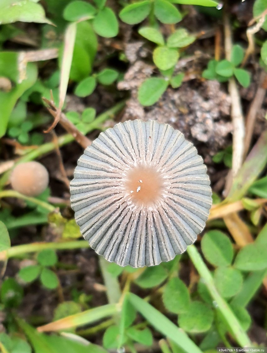 Осеннее путешествие с Колетт, заключительная часть