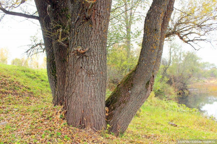 Осеннее путешествие с Колетт, заключительная часть (фото 9)