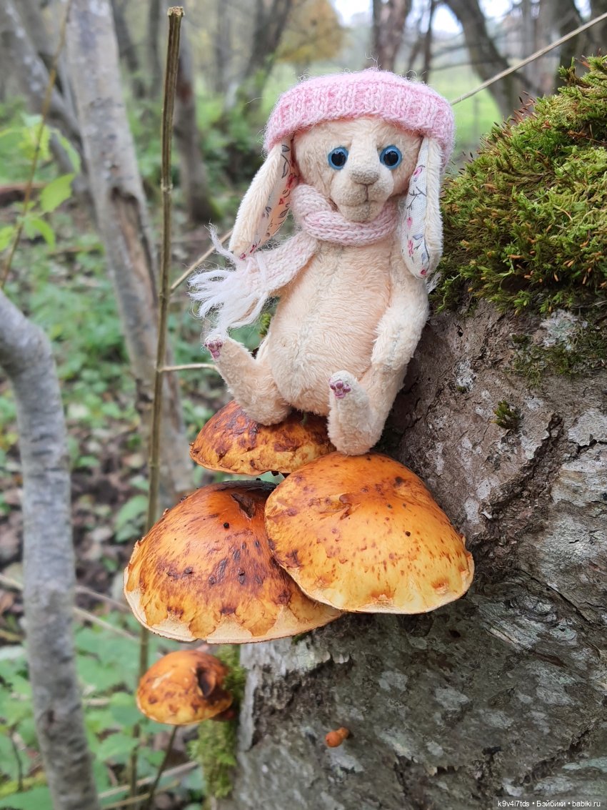 Осеннее путешествие с Колетт, заключительная часть