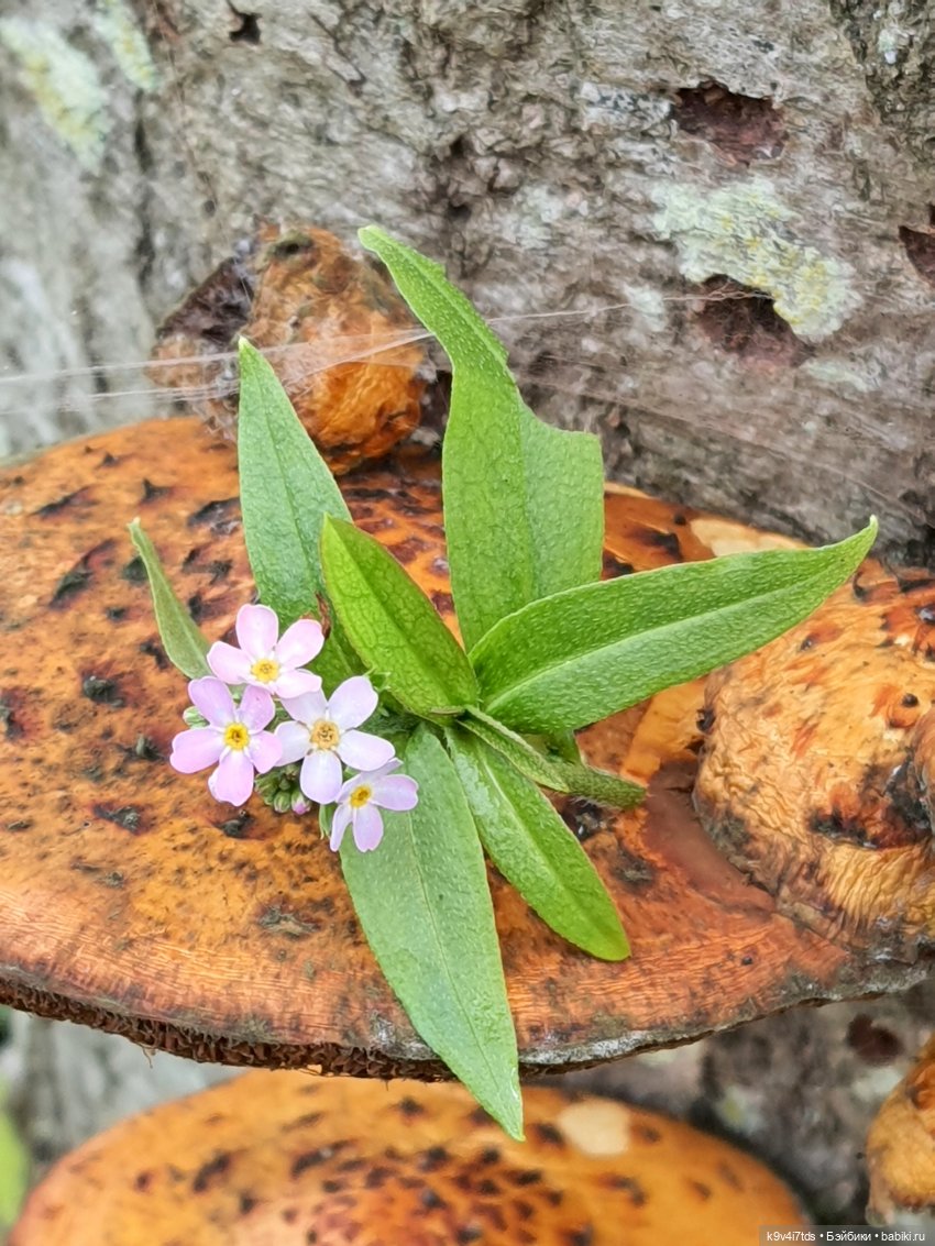 Осеннее путешествие с Колетт, заключительная часть