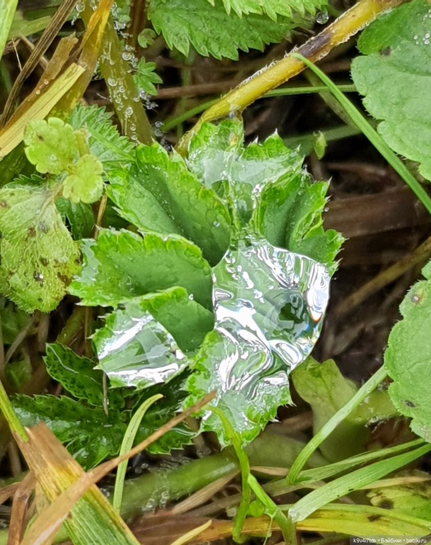 Осеннее путешествие с Колетт, заключительная часть