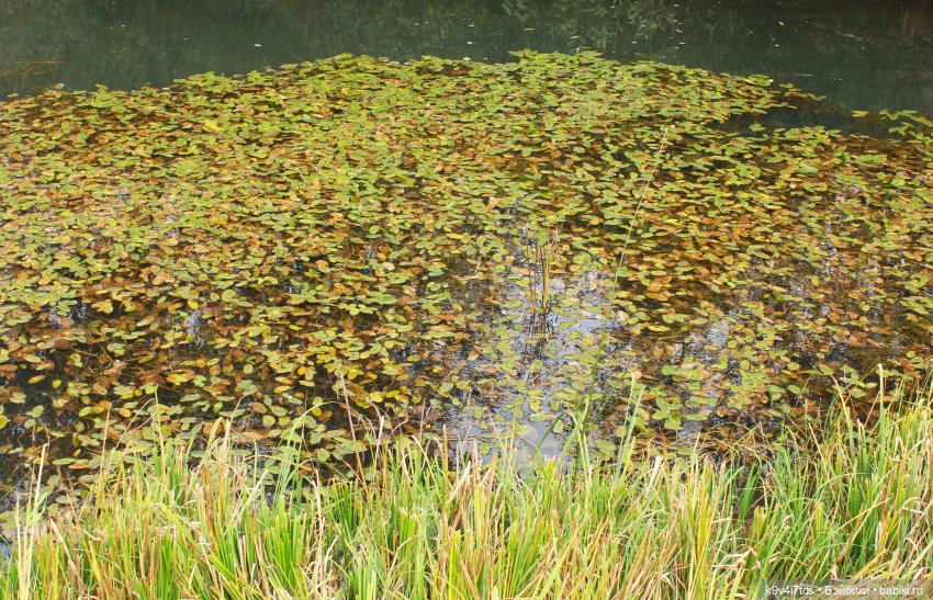 Осеннее путешествие с Колетт, заключительная часть