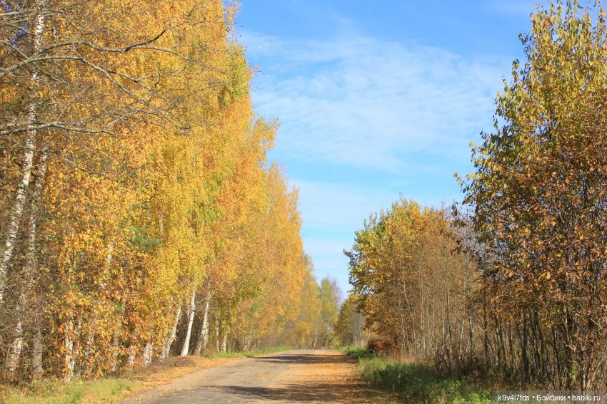 Золотая Осень в "Саду Камней"