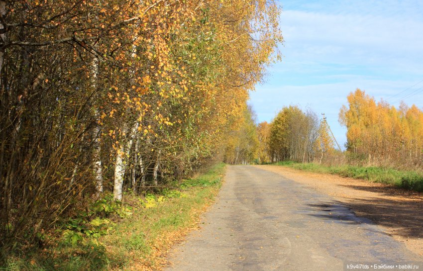 Золотая Осень в "Саду Камней"