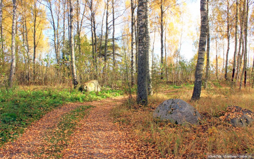 Золотая Осень в "Саду Камней"