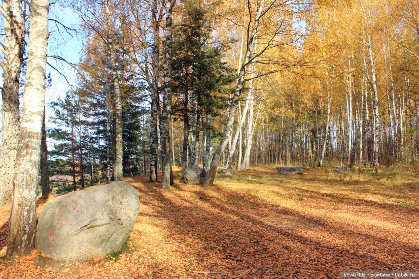 Золотая Осень в "Саду Камней"