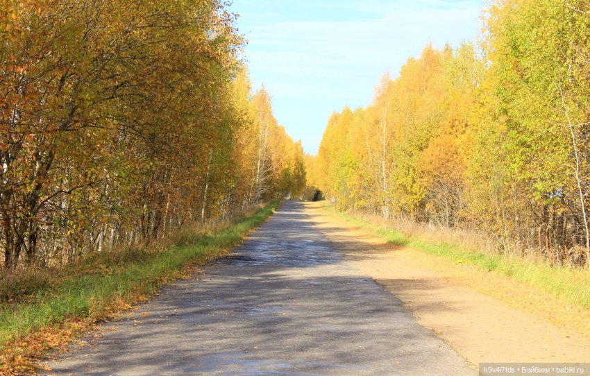 Золотая Осень в "Саду Камней"