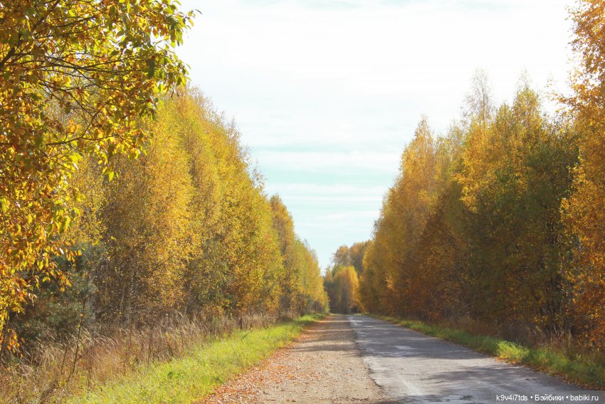 Майке в Осеннем Лесу — Куклы Sylvia Natterer (Сильвия Наттерер): Gotz