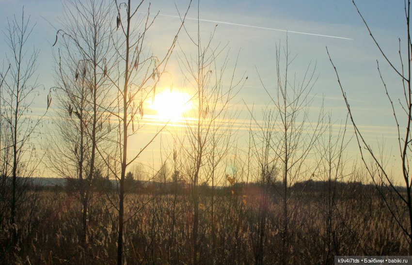 Чародейка Осень — Куклы Irrealdoll (Ирреалдолл): BJD (БЖД)