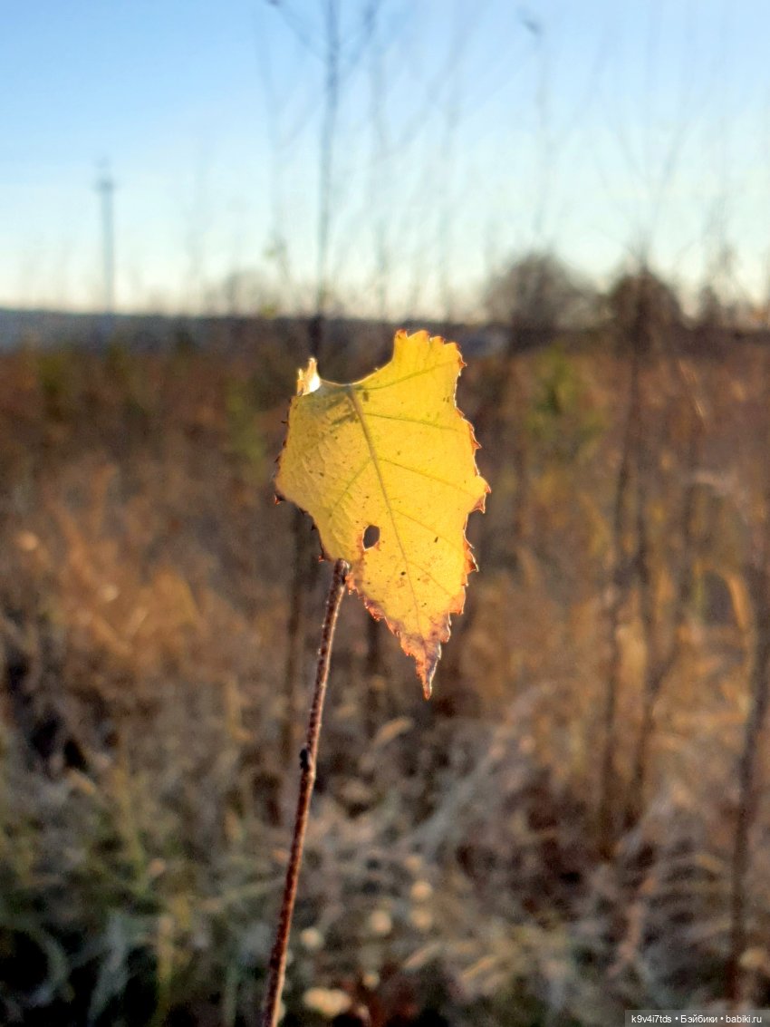 Чародейка Осень — Куклы Irrealdoll (Ирреалдолл): BJD (БЖД)