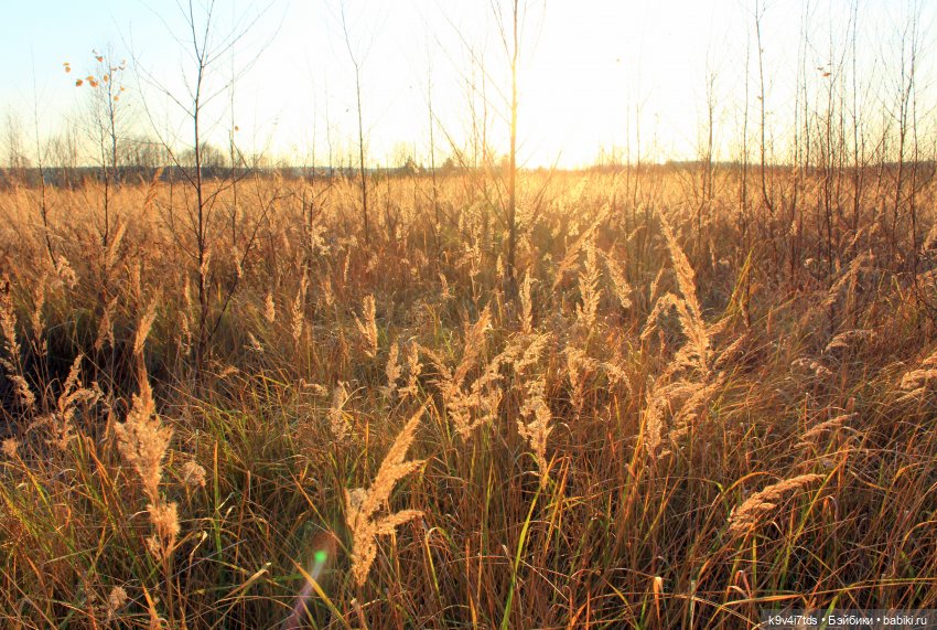 Чародейка Осень — Куклы Irrealdoll (Ирреалдолл): BJD (БЖД)