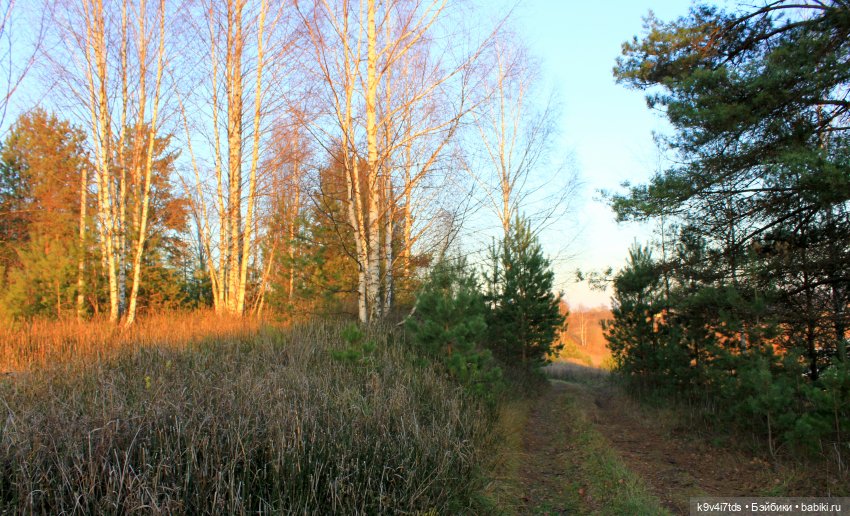 Чародейка Осень — Куклы Irrealdoll (Ирреалдолл): BJD (БЖД)