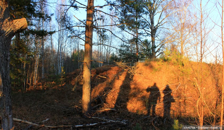 Чародейка Осень — Куклы Irrealdoll (Ирреалдолл): BJD (БЖД)