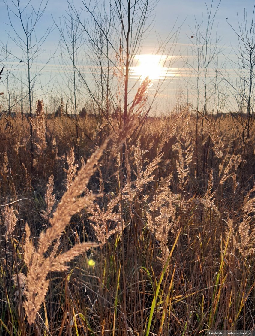 Чародейка Осень — Куклы Irrealdoll (Ирреалдолл): BJD (БЖД)