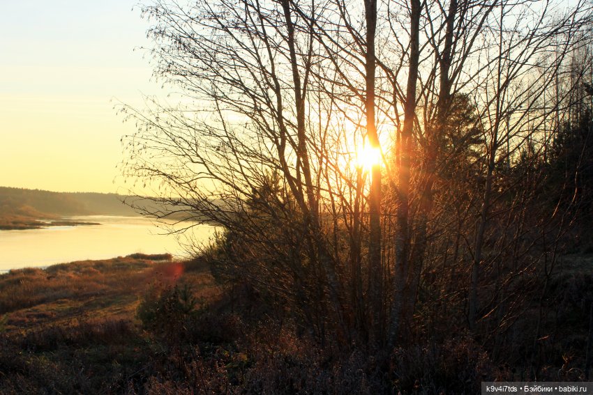 Чародейка Осень — Куклы Irrealdoll (Ирреалдолл): BJD (БЖД)