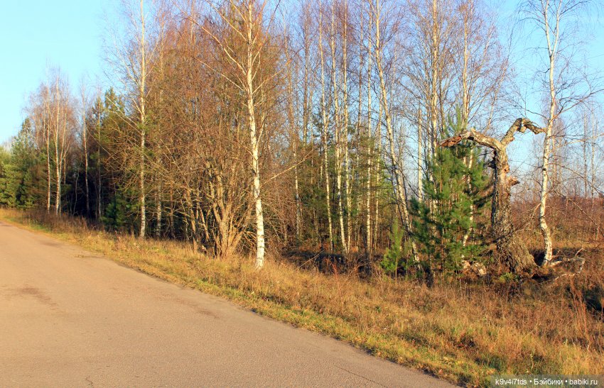 Чародейка Осень — Куклы Irrealdoll (Ирреалдолл): BJD (БЖД)