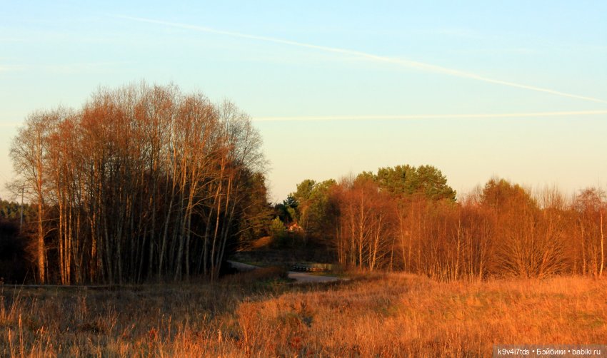 Чародейка Осень — Куклы Irrealdoll (Ирреалдолл): BJD (БЖД)