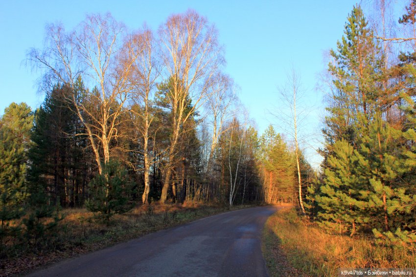 Чародейка Осень — Куклы Irrealdoll (Ирреалдолл): BJD (БЖД)