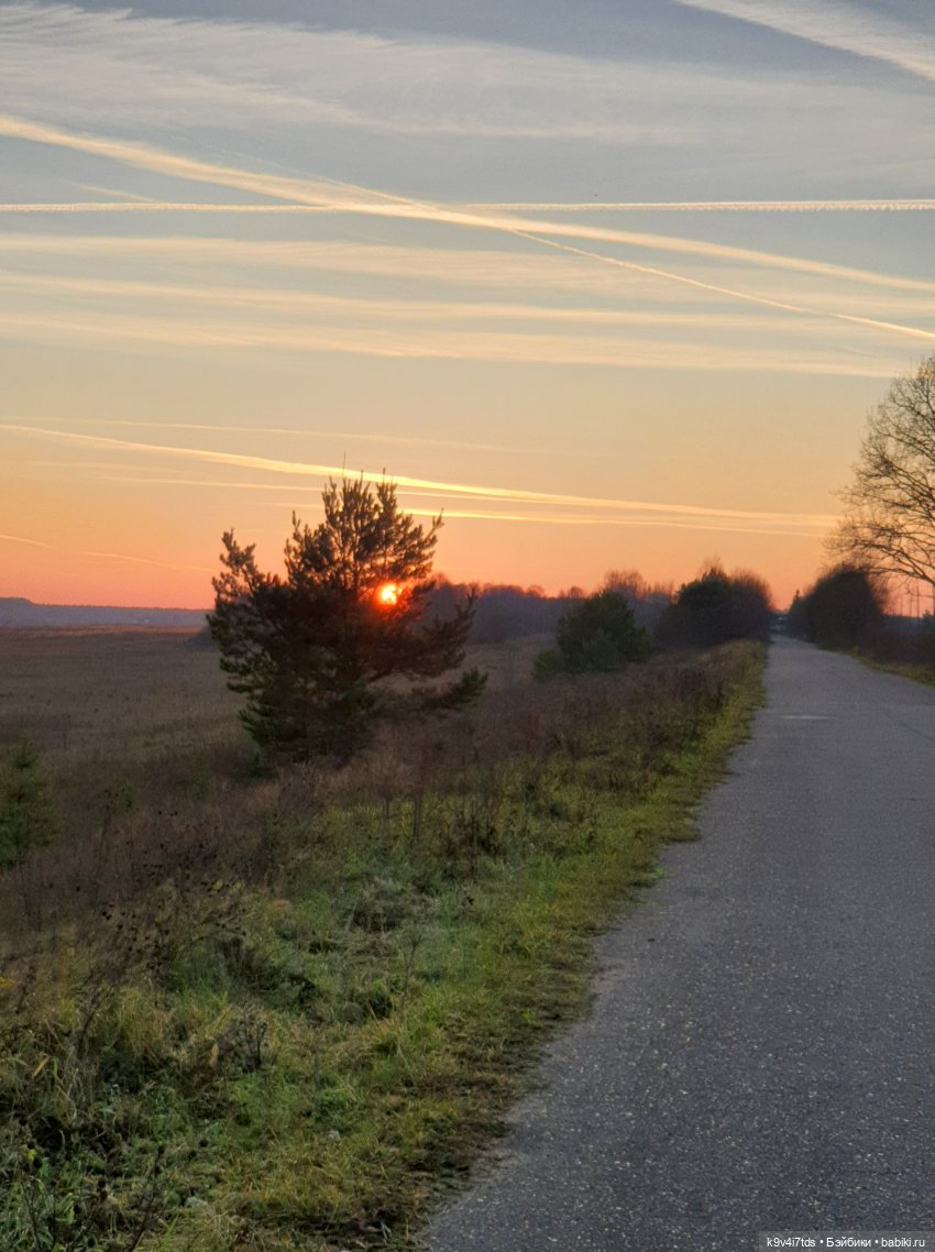 Чародейка Осень — Куклы Irrealdoll (Ирреалдолл): BJD (БЖД)