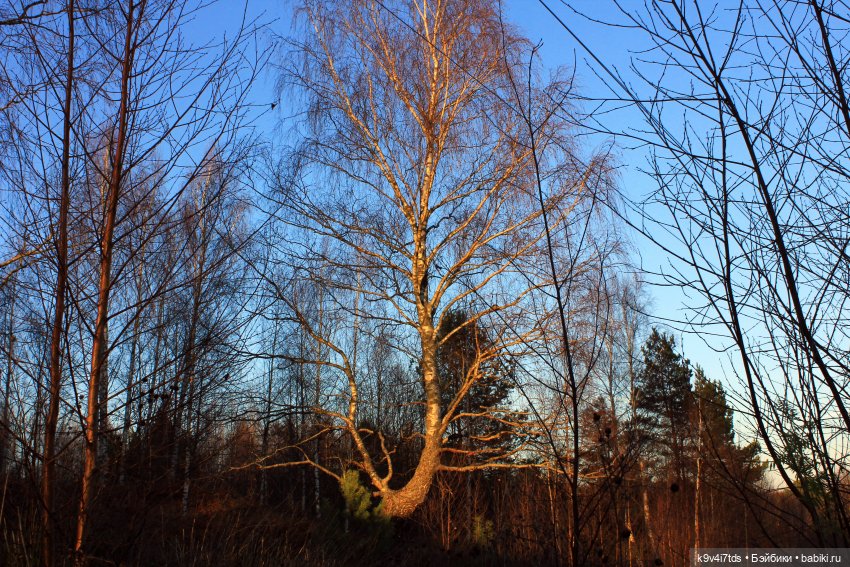 Чародейка Осень — Куклы Irrealdoll (Ирреалдолл): BJD (БЖД)