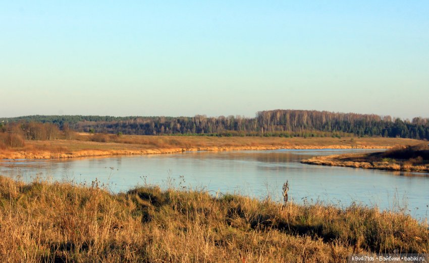 Чародейка Осень — Куклы Irrealdoll (Ирреалдолл): BJD (БЖД) (фото 10)