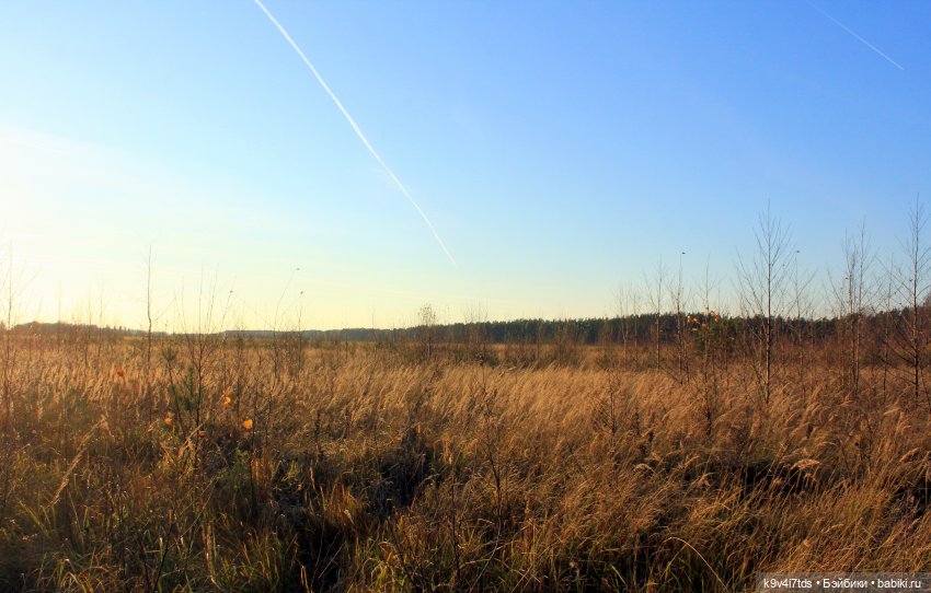 Чародейка Осень — Куклы Irrealdoll (Ирреалдолл): BJD (БЖД)