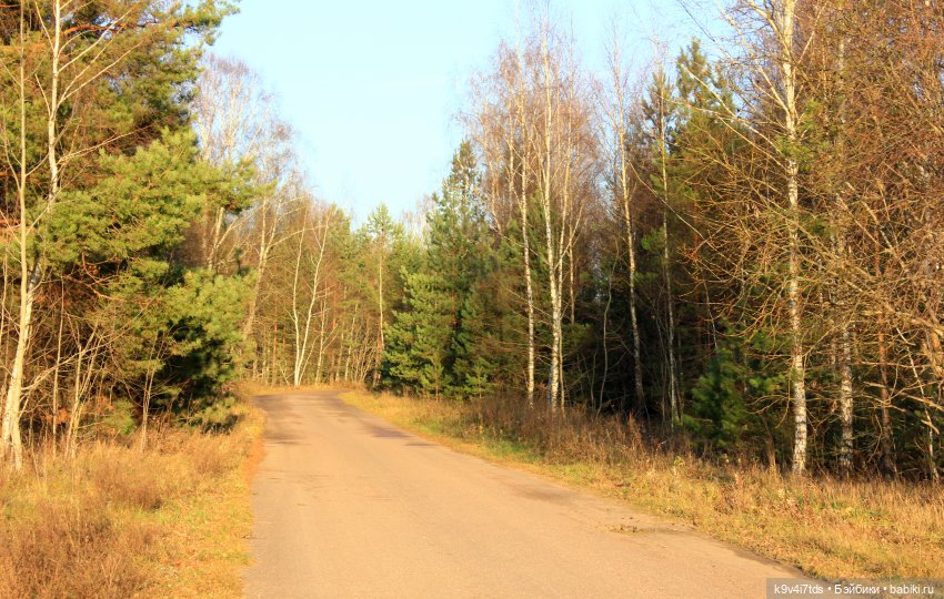 Чародейка Осень — Куклы Irrealdoll (Ирреалдолл): BJD (БЖД)