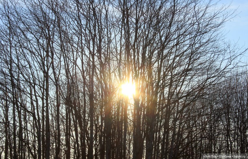 Чародейка Осень — Куклы Irrealdoll (Ирреалдолл): BJD (БЖД) (фото 9)